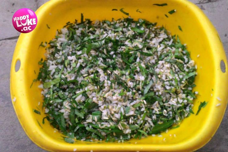 Tại sao chế độ ăn của gà chọi cần được quan tâm đặc biệt?